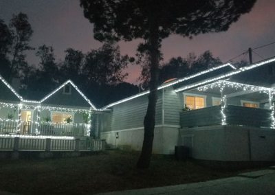 Professional Holiday Lighting Installation Residential