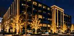 Commercial holiday lighting concept Commercial holiday lighting concept